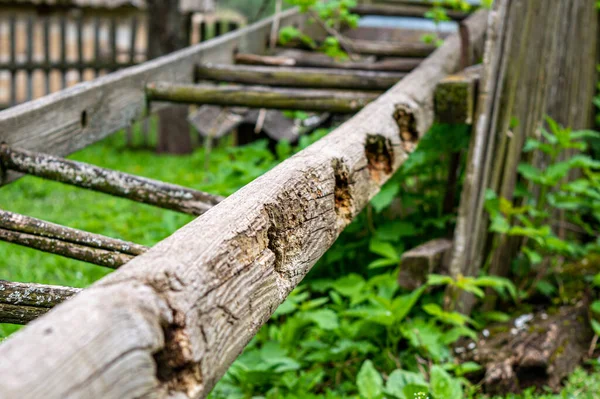 Starý Polámaný Dřevěný Žebřík Jarní Zahradě — Stock fotografie