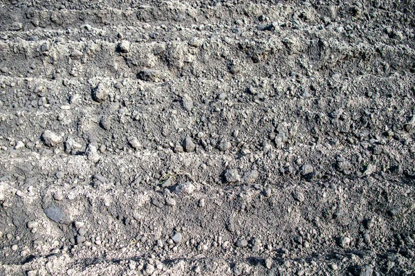 Campo Cultivado Para Plantação Batatas — Fotografia de Stock