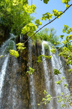 Hırvatistan 'ın Plitvice Lakes Ulusal Parkı' ndaki şelaleler