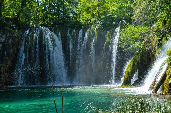 Vízesések Plitvicei Tavak Nemzeti Park Horvátország — Stock Fotó