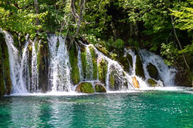 Hırvatistan 'ın Plitvice Lakes Ulusal Parkı' ndaki şelaleler
