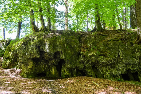 Paseando Por Bosque Parque Nacional Los Lagos Plitvice Croacia — Foto de Stock