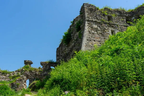 Khust Ucrania Junio 2021 Ruinas Del Castillo Khust Que Fue —  Fotos de Stock