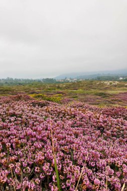 Pria Havadeliği olarak da bilinen Cantabrian Denizi 'ndeki Pria Bufones kayalıkları İspanya' nın Asturias kentinin kuzey kıyısında bulunan büyüleyici bir doğal jeolojik fenomendir..