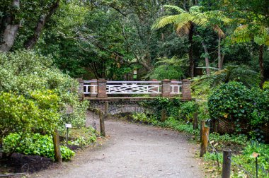 Atlantik Botanik Bahçesi, Gijon, Asturias, İspanya 'da yemyeşil, doğal bitki örtüsü ve huzurlu yürüyüş yollarıyla dolu muhteşem manzaralar sunar.