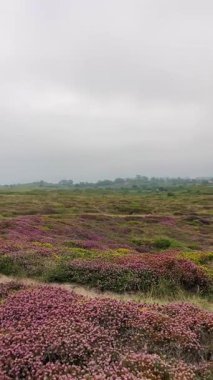 Pria Havadeliği olarak da bilinen Cantabrian Denizi 'ndeki Pria Bufones kayalıkları İspanya' nın Asturias kentinin kuzey kıyısında bulunan büyüleyici bir doğal jeolojik fenomendir..