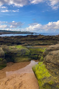 İspanya 'nın Santander kentindeki sakin deniz manzarası, yumuşak dalgalar ve huzurlu bir sahil atmosferi..