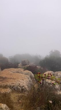 İspanya, Endülüs 'teki Torcal de Antequera' nın kayalık arazilerinde gizemli bir sabah yürüyüşü. Yumuşak bir sis, güneşin yumuşak ışınları altında sürükleniyor..