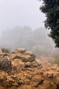 İspanya, Endülüs 'teki Torcal de Antequera' nın kayalık arazilerinde gizemli bir sabah yürüyüşü. Yumuşak bir sis, güneşin yumuşak ışınları altında sürükleniyor..