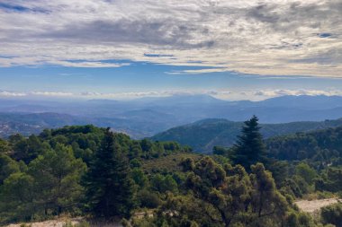 Puerto Saucillo 'dan uzanan çam ormanlarının panoramik manzarası, Sierra de las Nieves Ulusal Parkı, Endülüs, İspanya