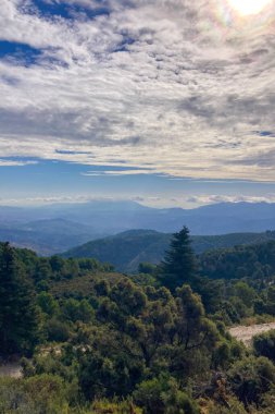 Puerto Saucillo 'dan uzanan çam ormanlarının panoramik manzarası, Sierra de las Nieves Ulusal Parkı, Endülüs, İspanya