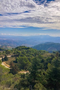 Puerto Saucillo 'dan uzanan çam ormanlarının panoramik manzarası, Sierra de las Nieves Ulusal Parkı, Endülüs, İspanya