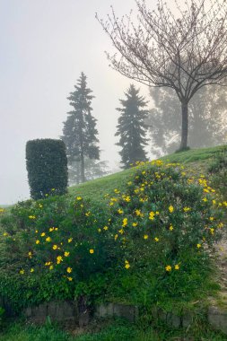 İspanya 'nın Oviedo kentindeki West Park, yürüyüş yolları, yemyeşil çimenler ve eğlence alanları sunan geniş bir kentsel alandır.