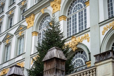 MUNİH, GERMANY - 1 Aralık 2024 Nymphenburg Sarayı 'nda (Schloss Nymphenburg) sabah sisi, Almanya' nın Münih kentinde Wittelsbach Hanedanı 'nın ana yazlık ikametgahı olarak hizmet veren Barok Sarayı.
