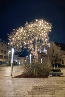 SLOVAKIA, BRATISLAVA - 8 Ocak 2025: Bratislava, Slovakya 'daki tarihi şehir merkezinde yürüyüş