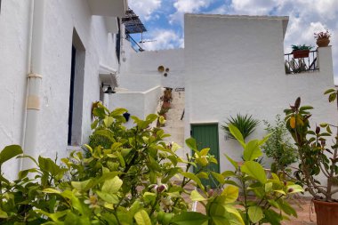 FRIGILIANA, SPAIN - 10 Mayıs 2025: Frigiliana, İspanya 'da beyazlatılmış evler ve renkli çiçeklerle çevrili büyüleyici dar sokaklarda huzurlu bir yürüyüş