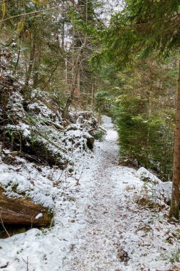 Tomasovsky manzarasına soğuk bir kış yürüyüşü, Slovakya 'daki Sloven Raj Ulusal Parkı' nda nefes kesici manzaralar sunan çarpıcı bir kaya oluşumu