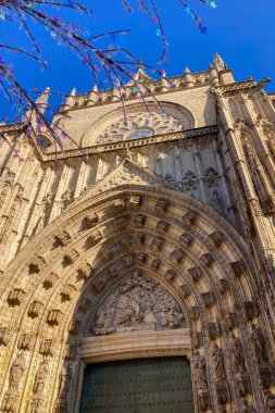 SEVILLA, İspanya - 25 ARALIK 2025: görkemli Sevilla Katedrali karmaşık gotik detaylarla yükseliyor, İspanya 'nın Sevilla kentindeki tarihi gökyüzüne hakim oluyor.