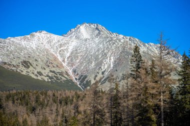 Strbske Pleso 'nun kış manzarası, Slovakya' nın başkenti High Tatras 'ta aynı adı taşıyan bir kayak, en iyi turizm beldesi ve sağlık merkezi..