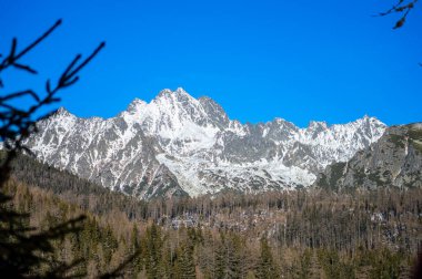 Strbske Pleso 'nun kış manzarası, Slovakya' nın başkenti High Tatras 'ta aynı adı taşıyan bir kayak, en iyi turizm beldesi ve sağlık merkezi..