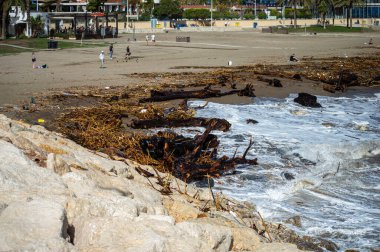 MALAGA, İspanya - 15 Kasım 2024: 15 Kasım 2024 tarihinde İspanya 'nın Malaga kentindeki DANA kasırgasının yol açtığı sel ve çöplük