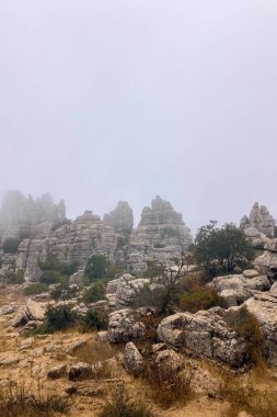 İspanya, Endülüs 'teki Torcal de Antequera' nın kayalık arazilerinde gizemli bir sabah yürüyüşü. Yumuşak bir sis, güneşin yumuşak ışınları altında sürükleniyor..
