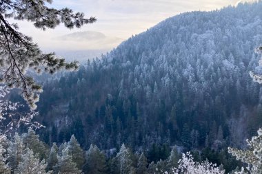 Tomasovsky manzarasına soğuk bir kış yürüyüşü, Slovakya 'daki Sloven Raj Ulusal Parkı' nda nefes kesici manzaralar sunan çarpıcı bir kaya oluşumu