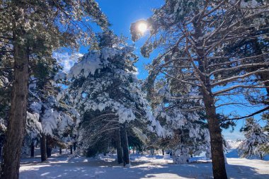 El değmemiş kış dağ manzaraları, İspanya 'nın Sierra Nevada kentindeki karla kaplı tepeleri ve el değmemiş dağlık arazileri gösteriyor..