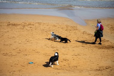Gijn, İspanya 'nın Asturias kentinde 7 Nisan 2025 tarihinde kurulmuş canlı bir sahil kentidir..