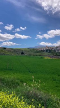 Kırsal alanlar büyülü yeşil renklerle parıldıyor, İspanya 'nın Granada eyaletinde sakin ve pitoresk bir doğal manzara yaratıyor.,