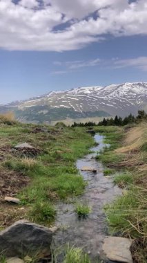 İlkbaharda eriyen kardan akan su akıntısı, Sierra Nevada, Endülüs, İspanya
