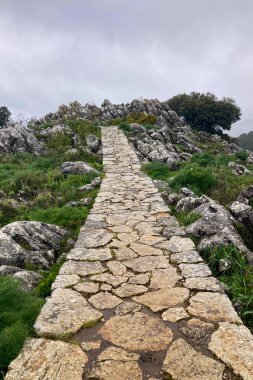 Guarda Ormanı bakış açısı, İspanya 'nın Malaga eyaletinin El Burgo belediyesine bağlı doğal manzaralı bir güzelliktir.