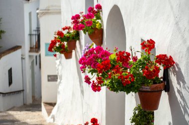 İspanya 'nın Frigiliana şehrinde beyazlatılmış evler ve renkli çiçeklerle çevrili büyüleyici dar sokaklarda huzurlu bir yürüyüş.