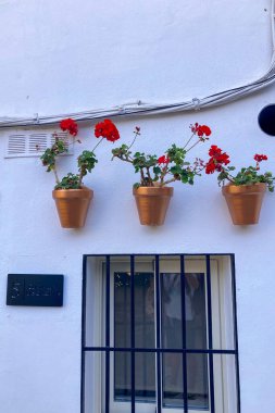 SETENİL DE LAS BODEGAS, SPAIN - 22 Ekim 2025: Dramatik kaya oluşumları içine inşa edilmiş eşsiz beyaz boyalı köy, Setenil de las Bodegas, İspanya 'daki en resimli manzaralardan birini sunuyor