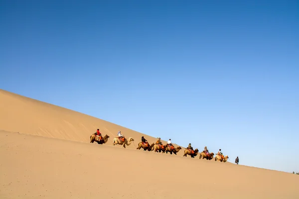 Groupe de touristes et chameaux — Photo