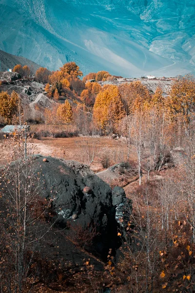 Дерева Жовтим Листям Осінній Сезон Ландшафтна Фотографія — стокове фото