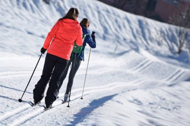 Kış harikalar diyarı Yukarı Avusturya 'nın güneyindeki Gosau kros kayakları için bir cennettir..