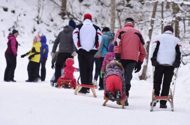 Hochsteinalm 'da kızak çekme (Traunkirchen, Gmunden, Yukarı Avusturya, Avusturya)