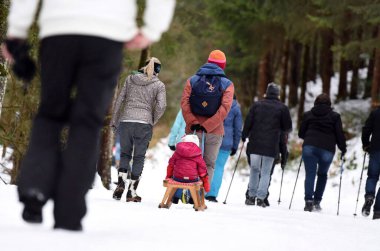 Hochsteinalm 'da kızak çekme (Traunkirchen, Gmunden, Yukarı Avusturya, Avusturya)