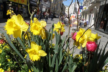 Şehirde bahar (Yukarı Avusturya, Avusturya, Avusturya)