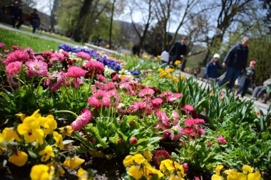 Şehirde bahar (Yukarı Avusturya, Avusturya, Avusturya)