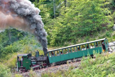 Schafberg, Sankt Wolfgang, Gmunden District, Salzkammergut, Yukarı Avusturya, Salzburg, Avusturya, Avrupa 'daki tarihi tren