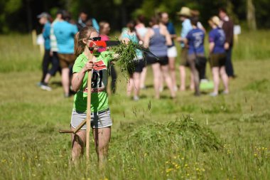 Almtal, Salzkammergut, Yukarı Avusturya, Avusturya ve Avrupa 'daki çim biçme yerleri