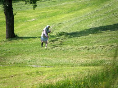 Saman elle tırmıklama, Yukarı Avusturya, Avusturya, Avrupa