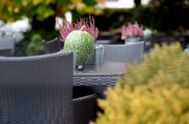 Aşağı Avusturya, Avusturya ve Avrupa 'daki korona salgınında kapalı gastronomi