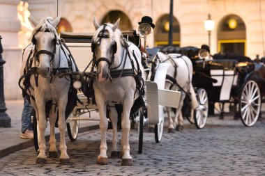 Fiaker horses in Vienna, Austria, Europe clipart