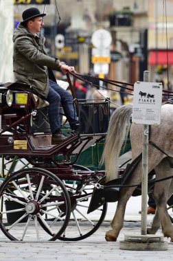 Viyana, Avusturya, Avrupa 'daki Fiaker atları