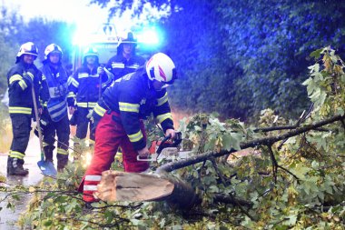 Avusturya, Avrupa 'da meydana gelen fırtınadan sonra azalan ağaçları itfaiye ekleyip etkisiz hale getiriyor.