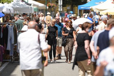 Bad Ischl 'deki Rarity Market, Salzkammergut, Avusturya, Avrupa