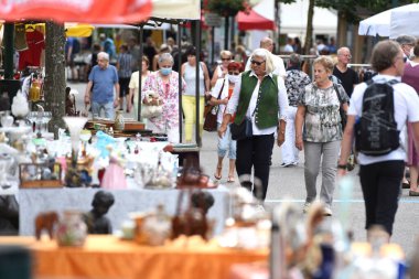 Bad Ischl 'deki Rarity Market, Salzkammergut, Avusturya, Avrupa